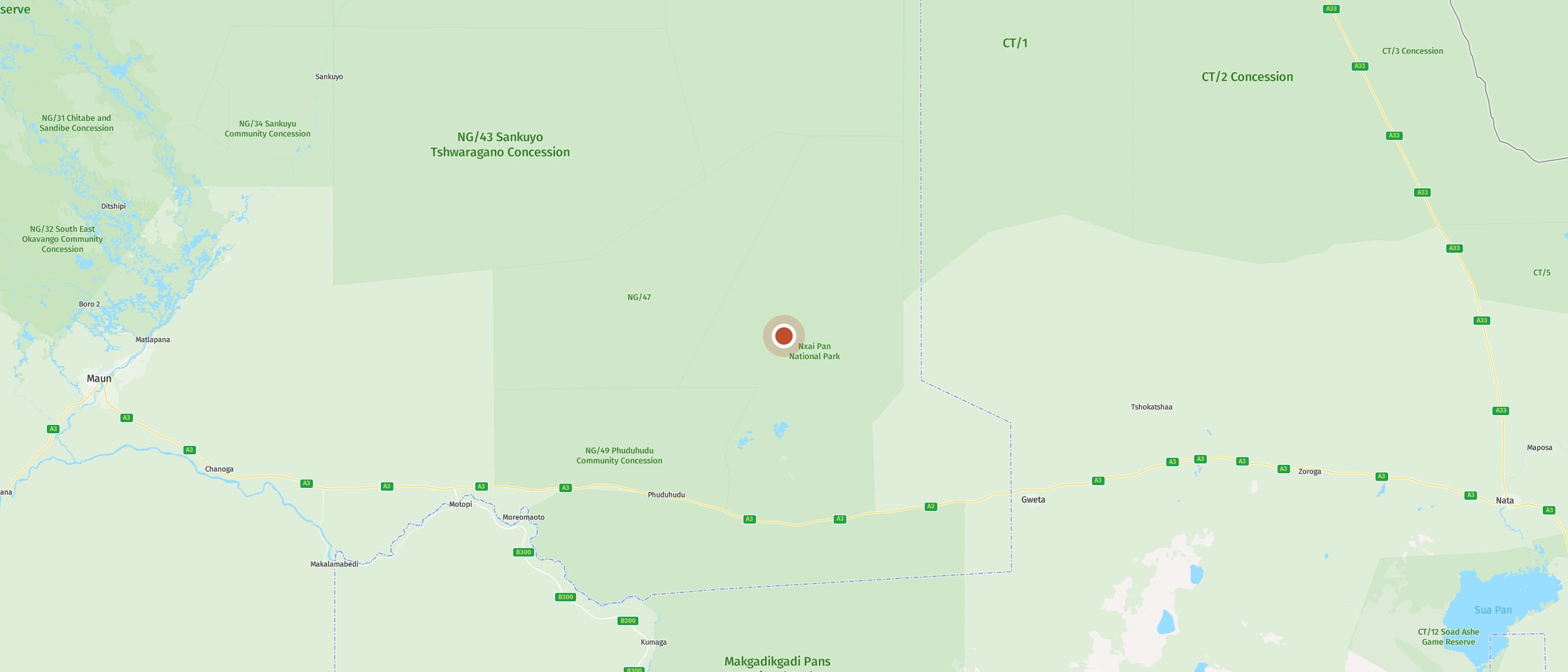 Map: Watch majestic bull elephants in the warm evening light
